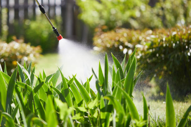Tamper-Resistant Bait Stations for Rodents in Monroe