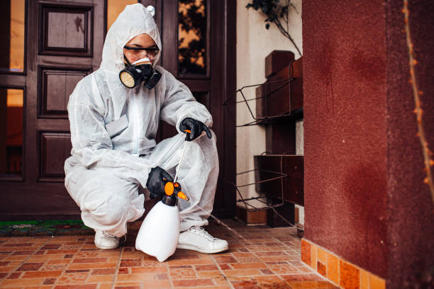 Attic and Crawl Space Rodent Treatment in Monroe